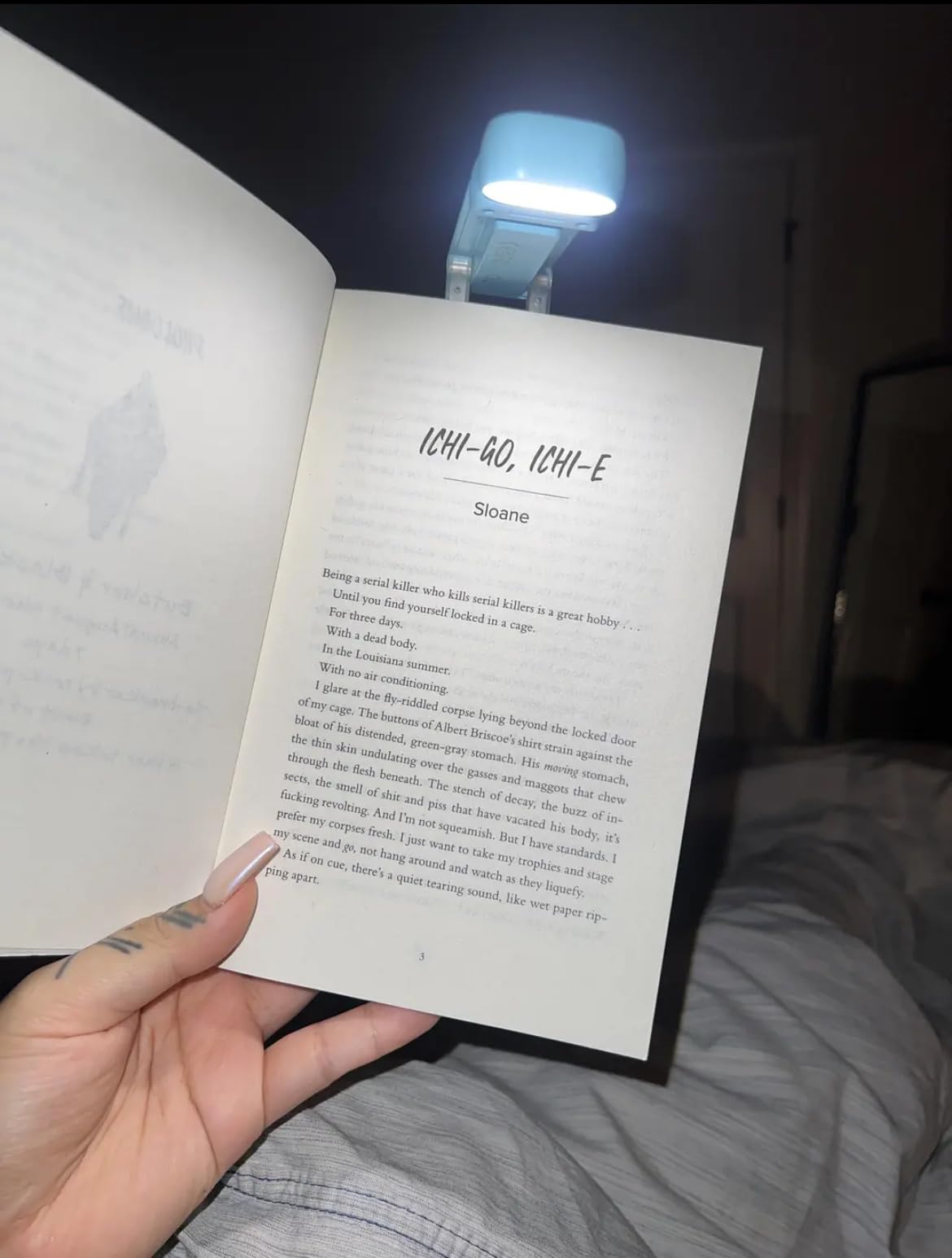 Boklampan - 3 olika ljuslägen - 1 års garanti.